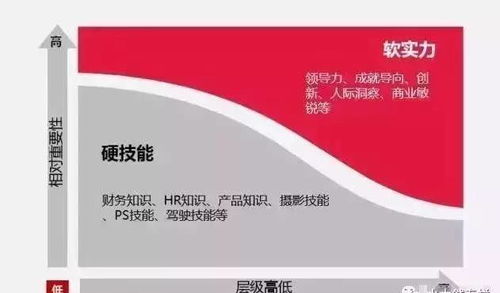 無人水餃工廠的興起 自動化浪潮下的挑戰(zhàn)與數(shù)字文創(chuàng)的機遇